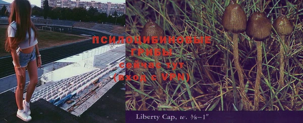 прущие грибы Алексин