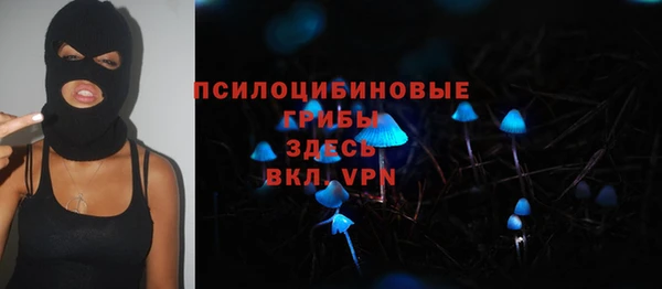 амф Алексеевка