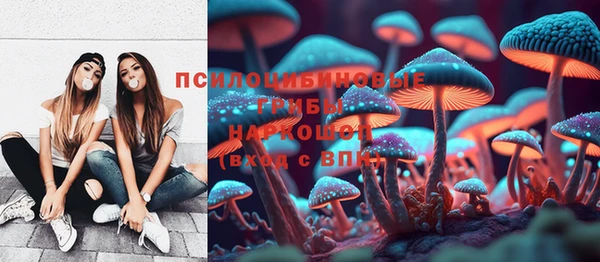 прущие грибы Алексин