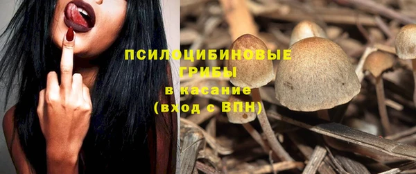 прущие грибы Алексин