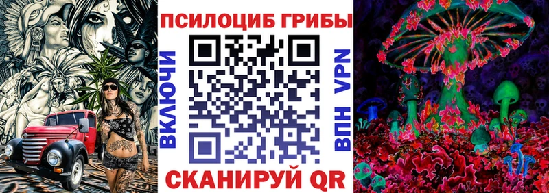 Псилоцибиновые грибы прущие грибы  MEGA рабочий сайт  Новошахтинск 
