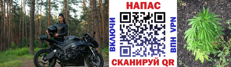 Каннабис White Widow  купить наркоту  Новошахтинск 